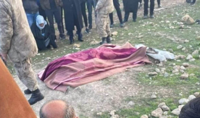 Ceylanpınar'da arızayı gidermek için çıktığı direkte akıma kapıldı