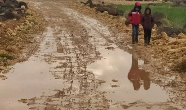 Vatandaş isyan etti Viranşehir'in günahı ne!