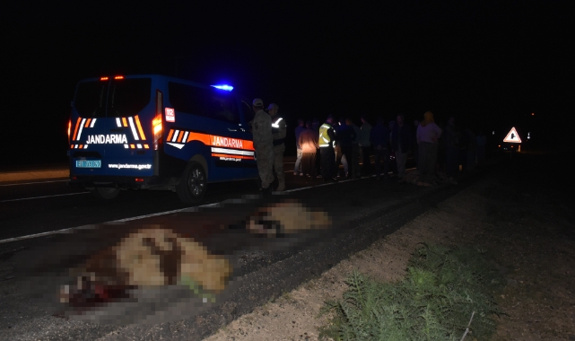 Siverek’te otomobil koyun sürüne daldı