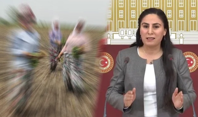 Sürücü, tarım işçileriyle ilgili adım atılmadı!