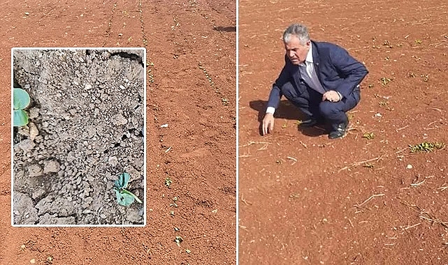 Almas: Suyu kesip rekolteyi düşürüyorsunuz