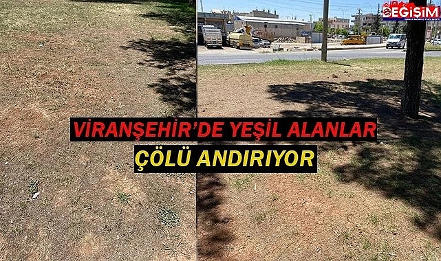 Sahra Çölü değil Viranşehir yeşil alanları