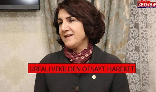 Şanlıurfalı vekilden şok sözler