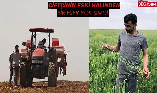 Urfalı çiftçiler geçen yıllı mumla arıyor