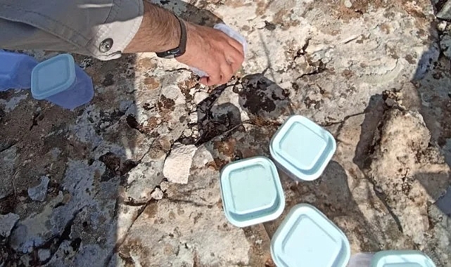 Akrep avcıları fena avlandı