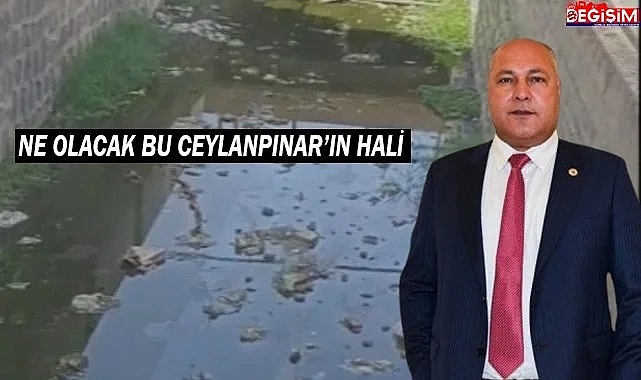 Ceylanpınar Belediyesi ne yapıyor!