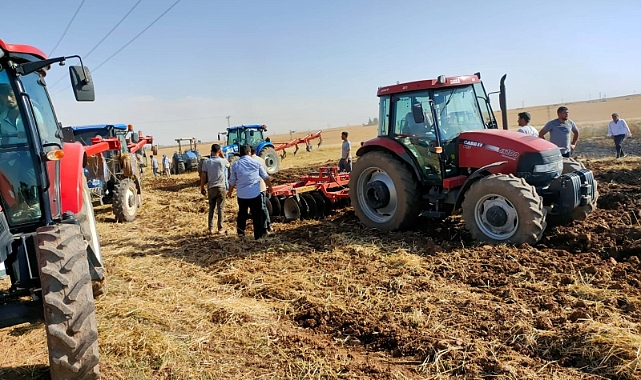 Ceylanpınar'da 80 dönüm buğday tarlası yandı!