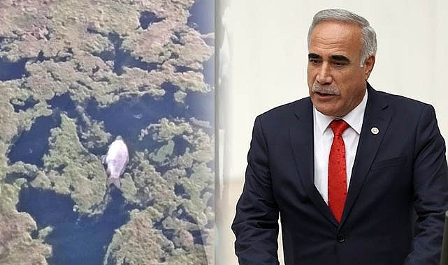 Fırat nehrinin kirliliği meclisin gündeminde