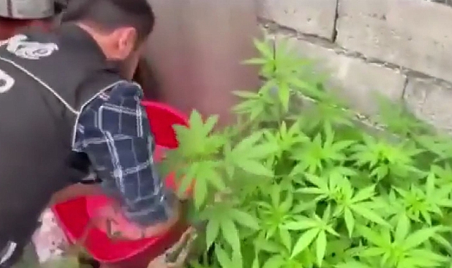 Gaziantepte Uyuşturucu Operasyonu