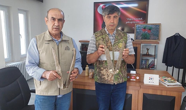 Keçiboynuzu bulunduran kişiye büyük ceza
