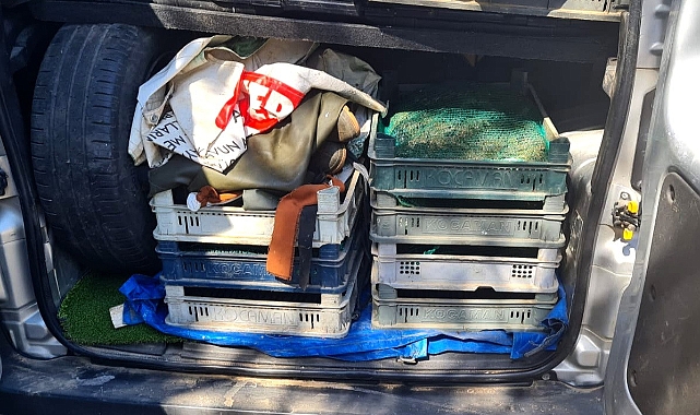 Kurbağa avcılarının cezası belli oldu