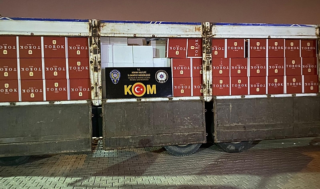 Milyonlarca makarona el konuldu