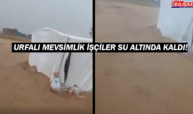 Ne Urfa'daki yetkililer utandı! Ne Konya'daki yetkililer  