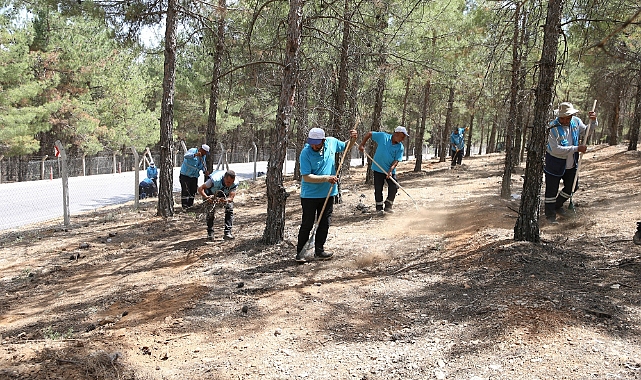 Orman yangınlarına karşı hummalı çalışmalar yapılıyor