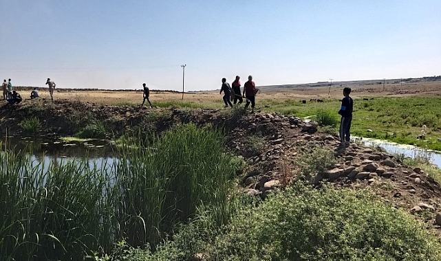 Şanlıurfa'da bir genç daha boğuldu!