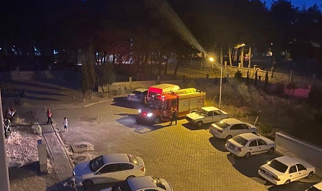 Site Bahçesinde Yılan Paniği