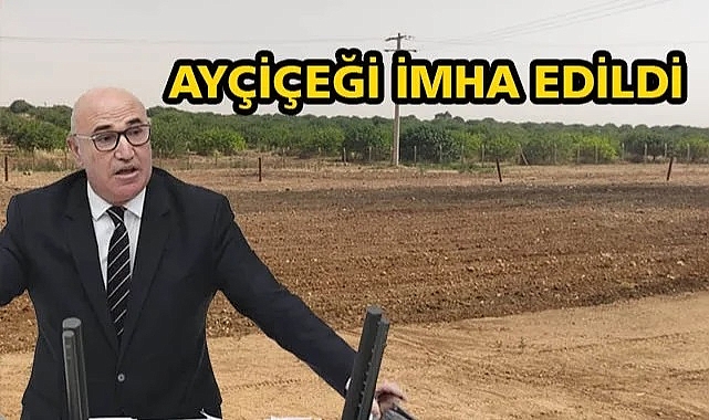 Tanal konum verdi! Baskın yapın