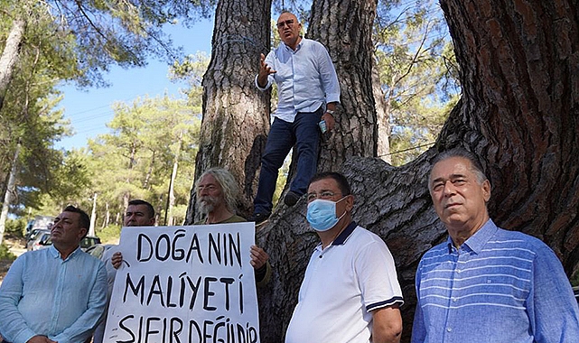Urfalı vekil ağaca çıktı!