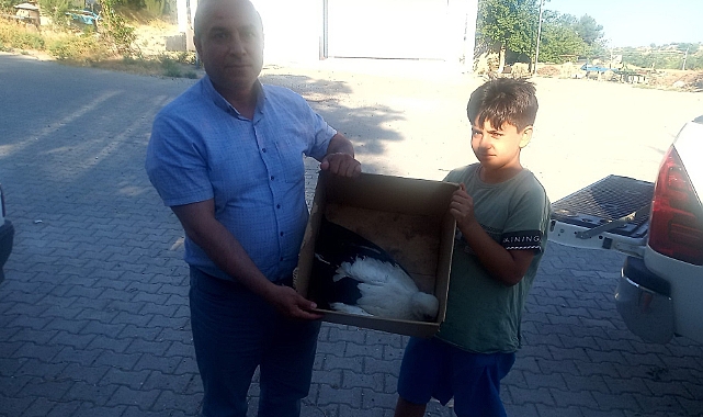 Yaralı şahin ve leylek yavruları tedavi altına alındı
