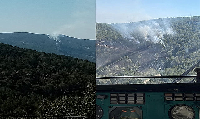 Antalya’da orman yangını