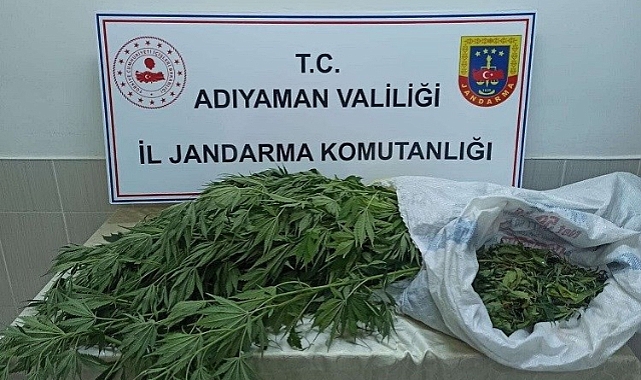 Kenevir ve kubar esrar ele geçirildi!
