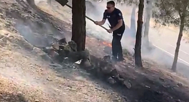Urfa'da orman yangınını polisler söndürdü