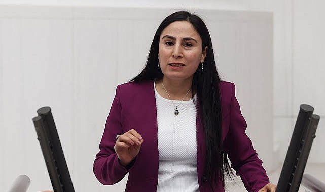 Usulsüzlük iddiaları meclise taşındı