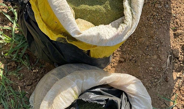 28 milyon 553 bin 274 kök uyuşturucu madde ele geçirildi