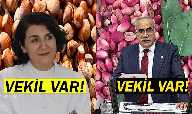 Aziz Aydınlık fıstık üreticilerinin sesi oldu!