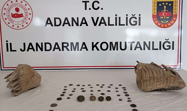 Mamut fosili ele geçirildi