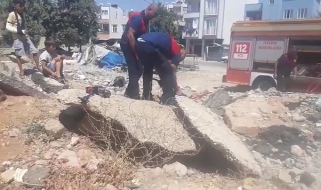 Molozların arasında sıkışan köpek kurtarıldı