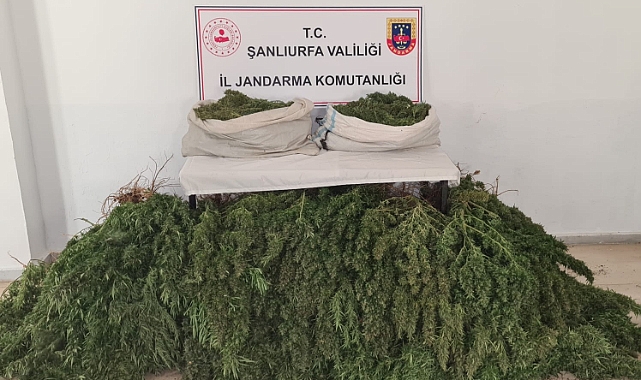 Viranşehir'de uyuşturucu operasyonu!