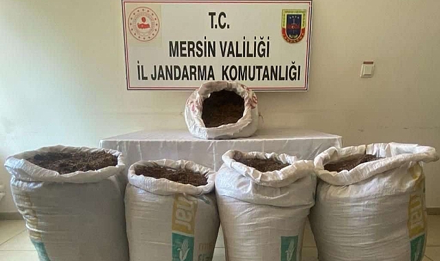 350 kilogram kaçak tütün ele geçirildi