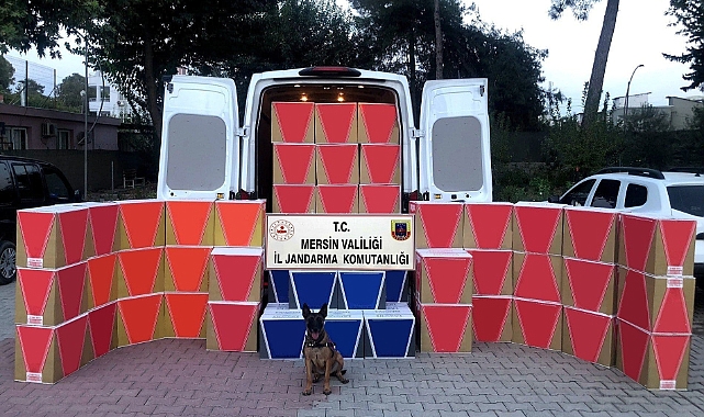630 bin adet kaçak makaron ele geçirildi