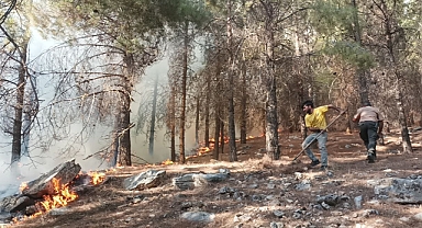 Adıyaman’da orman yangını başladı