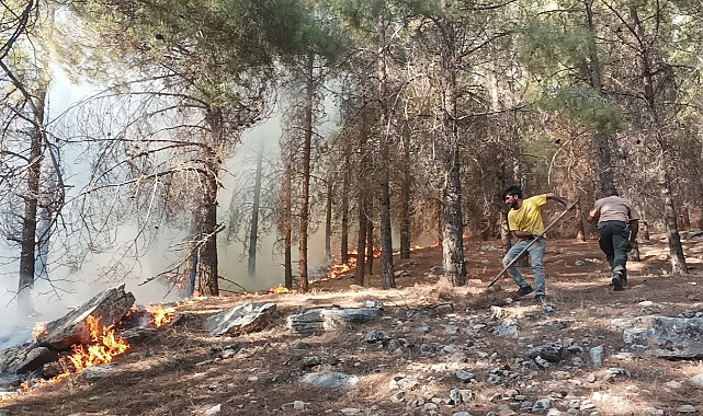 Adıyaman’da orman yangını başladı