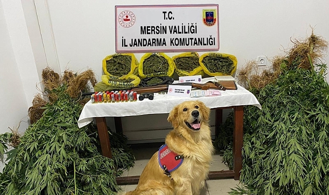Bahçesinde uyuşturucu yetiştiren 2 kişi yakalandı