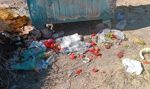 Bir haftalık bebek çöpte ölü bulundu