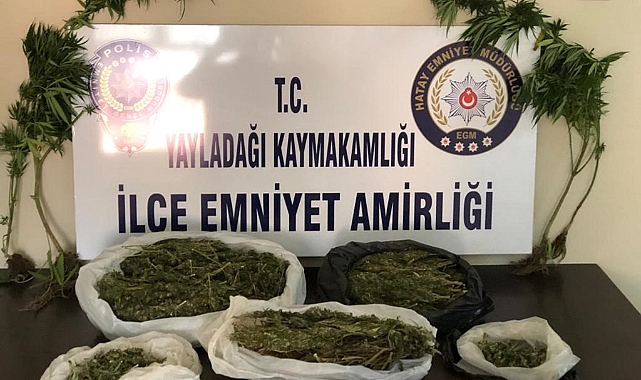 Hatay’da uyuşturucu operasyonları