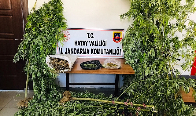 Hatay’da uyuşturucu operasyonu