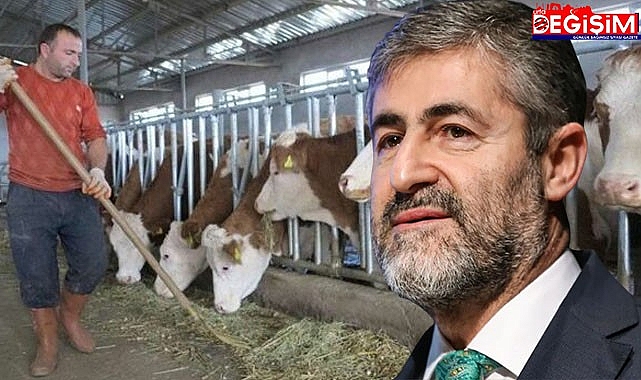 Hayvancılık desteklemeleri artırıldı!