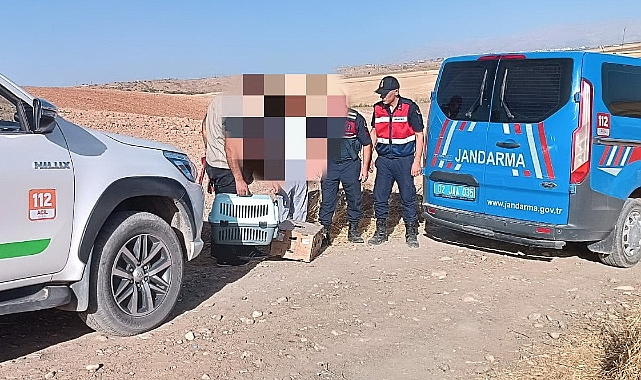 Kaçak avcılara göz açtırılmıyor