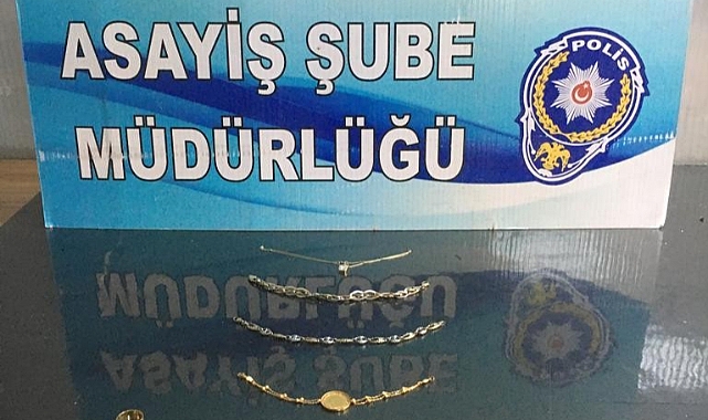 Şanlıurfa'da hırsızlık yaptı malatya'da yakalandı
