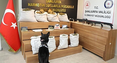 Şanlıurfa'da kapsamlı uyuşturucu operasyonu! 86 gözaltı
