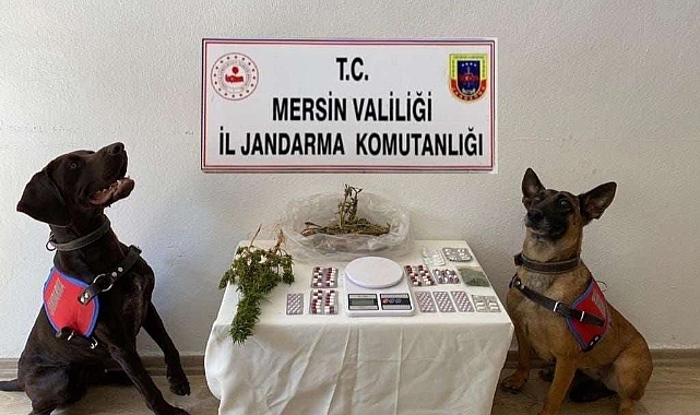Uyuşturucu operasyonu: 1 tutuklama