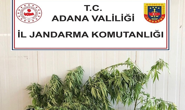 Uyuşturucu imal eden kişilere operasyon!