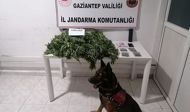 Uyuşturucu operasyonunda 11 kişi tutuklandı