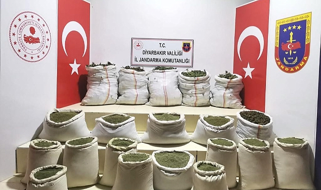 232 bin kök kenevir ele geçirildi!
