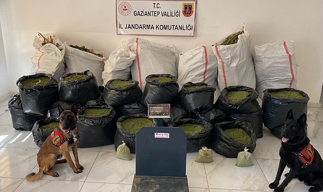 462 kilo uyuşturucu madde ele geçirildi
