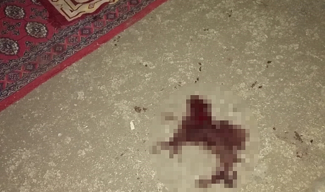 Damadını namaz kılarken silahla vurdu